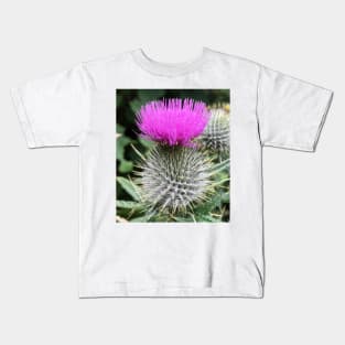 scottish thistle with beautiful purple head Kids T-Shirt